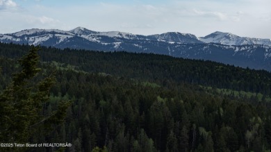 (private lake, pond, creek) Acreage For Sale in Victor Idaho