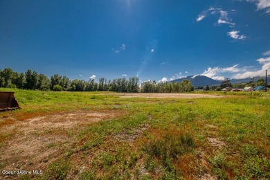 With the recent growth boom in the Sandpoint area, there are - photo 3