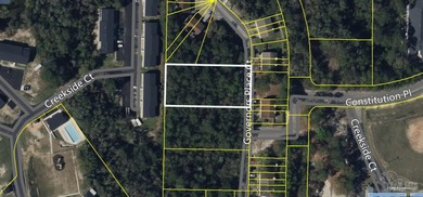 All seven lots are being sold together. They are in a - photo 4