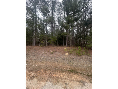 Strom Thurmond / Clarks Hill Lake Acreage For Sale in Lincolnton Georgia