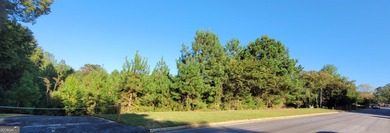 Sandstone Estates located in the new City of Stonecrest, boast - photo 3