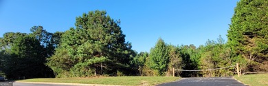 Sandstone Estates located in the new City of Stonecrest, boast - photo 4
