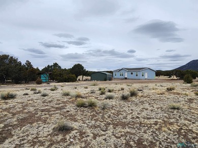 Quemado Lake Home Sale Pending in Quemado New Mexico