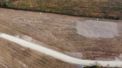 Lake Marion Acreage For Sale in Cross South Carolina