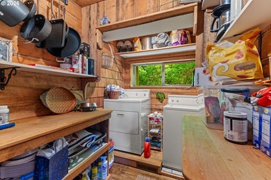 One-of-a-kind Tenmile Lakefront home on Coleman Arm - boat - photo 12