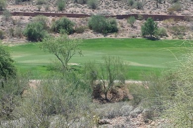 Build your dream home here! Located on the 5th fairway of - photo 16