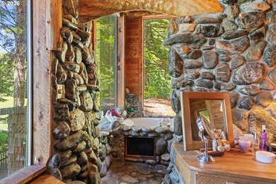 One-of-a-kind Tenmile Lakefront home on Coleman Arm - boat - photo 21