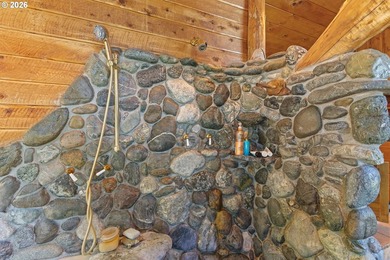 One-of-a-kind Tenmile Lakefront home on Coleman Arm - boat - photo 23