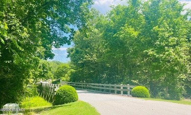Albemarle Shores presents an exquisite opportunity for those - photo 6