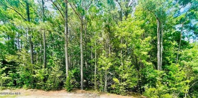 Albemarle Shores presents an exquisite opportunity for those - photo 10