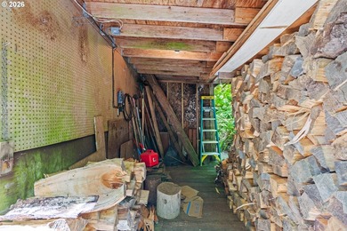 One-of-a-kind Tenmile Lakefront home on Coleman Arm - boat - photo 30