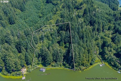 One-of-a-kind Tenmile Lakefront home on Coleman Arm - boat - photo 44