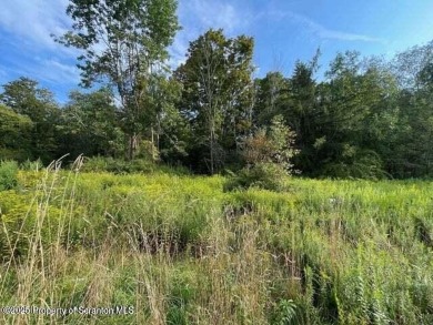 Lake Acreage For Sale in Kingsley, Pennsylvania