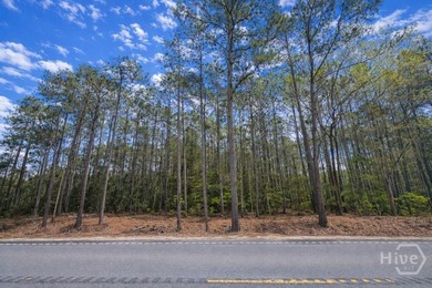 Discover the perfect blend of privacy, convenience, and natural - photo 2