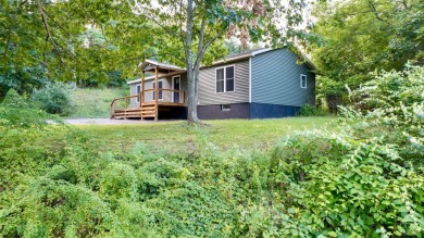 Lake Home For Sale in Durham, New York