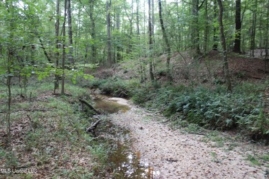 This 7.21 acre tract would make a great home or camp site - photo 11