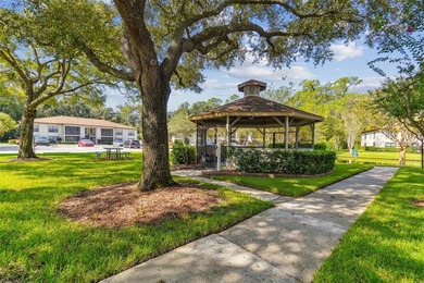Welcome to Crystal Lake, one of Palm Harbor's most sought-after - photo 18