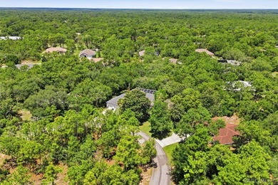 Nestled on an elevated .56-acre homesite in the desirable - photo 41