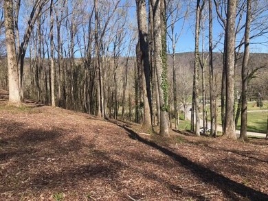 Chickamauga Lake Lot Sale Pending in Soddy-Daisy Tennessee