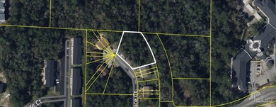 One of seven lots in the same subdivision. All seven lots are - photo 1