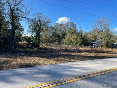 Bonable Lake Lot For Sale in Dunnellon Florida