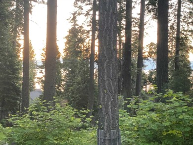 Lake Lot For Sale in Homewood, California