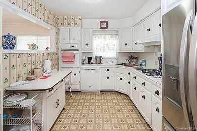 Location to all! Walk to shopping, dining, schools, LIRR - photo 15