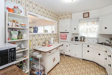 Location to all! Walk to shopping, dining, schools, LIRR - photo 16