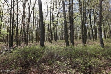 Lake Lot For Sale in Hawley, Pennsylvania