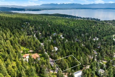 (private lake, pond, creek) Lot For Sale in Lakeside Montana