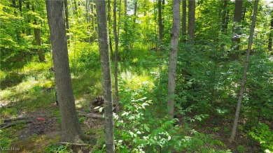 Cinnamon Lake Lot For Sale in West Salem Ohio