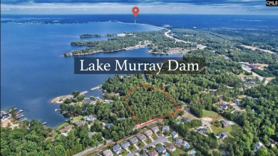 Lake Murray Commercial For Sale in Lexington South Carolina