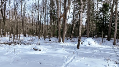 (private lake, pond, coastal) Acreage For Sale in Brooks Maine