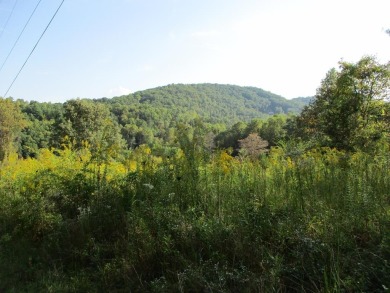 Hiwassee River - Clay County Acreage For Sale in Hayesville North Carolina