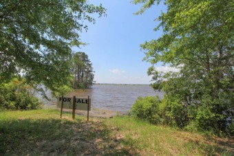 Toledo Bend Reservoir Acreage For Sale in Zwolle Louisiana