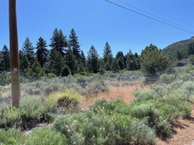 (private lake, pond, creek) Lot For Sale in Loyalton California