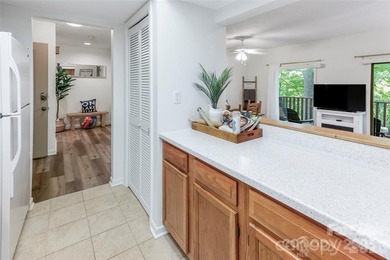 Welcome to a dream oasis nestled in serene beauty of Lake Lure!