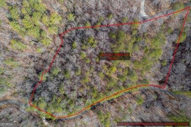 Lake Acreage For Sale in Talking Rock, Georgia