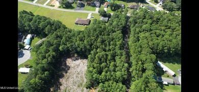 RARE 4-ACRE LOT IN PRIME GAUTIER LOCATION - A HIDDEN GEM NEAR - photo 12