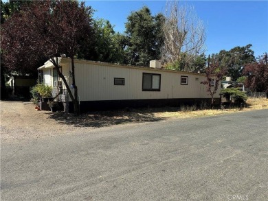 Lake Home For Sale in Lower Lake, California