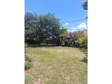 Beautiful CBS 3 bedroom 2 bathroom 2 car garage home with large - photo 3