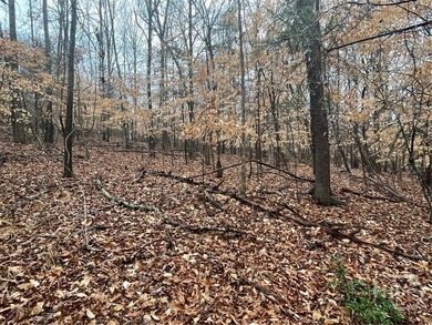 Lake Hartwell Lot For Sale in Westminster South Carolina