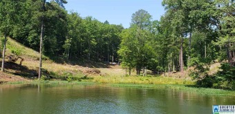 Lake Mitchell Lot For Sale in Rockford Alabama