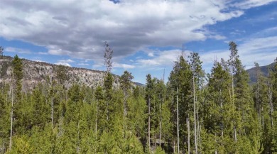 (private lake, pond, creek) Acreage For Sale in Anaconda Montana