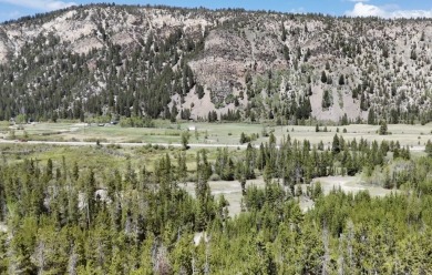 (private lake, pond, creek) Acreage For Sale in Anaconda Montana