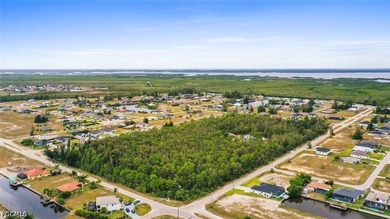 Great development opportunity. One of the few commercial land - photo 12
