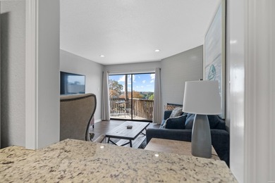 203 STEARNS POINT / F3 HAMILTON HARBOR CONDOMINIUMS... ***BUYERS - photo 13