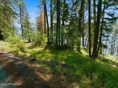 A rare opportunity to own premier waterfront property on the - photo 17