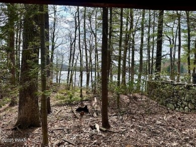 Lake Lot Sale Pending in Tafton, Pennsylvania
