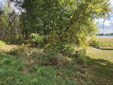 Lake Acreage For Sale in Pleasant Lake, Michigan